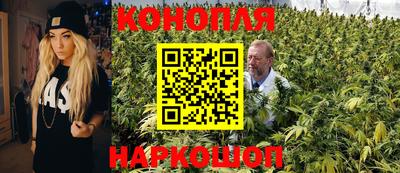 ешки Камышлов